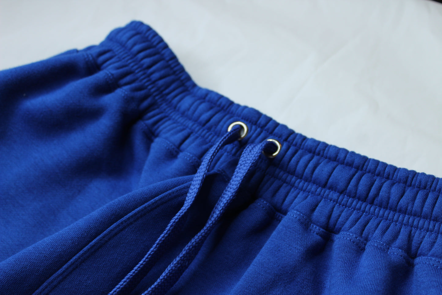 Royal Blue Embroidered Jogger Pants